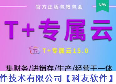 用友T+专属云，T+CLOUD 云专版 15.0新增功能